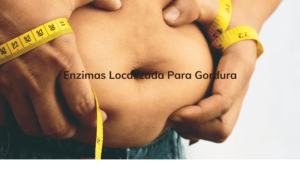 Enzimas Localizada Para Gordura